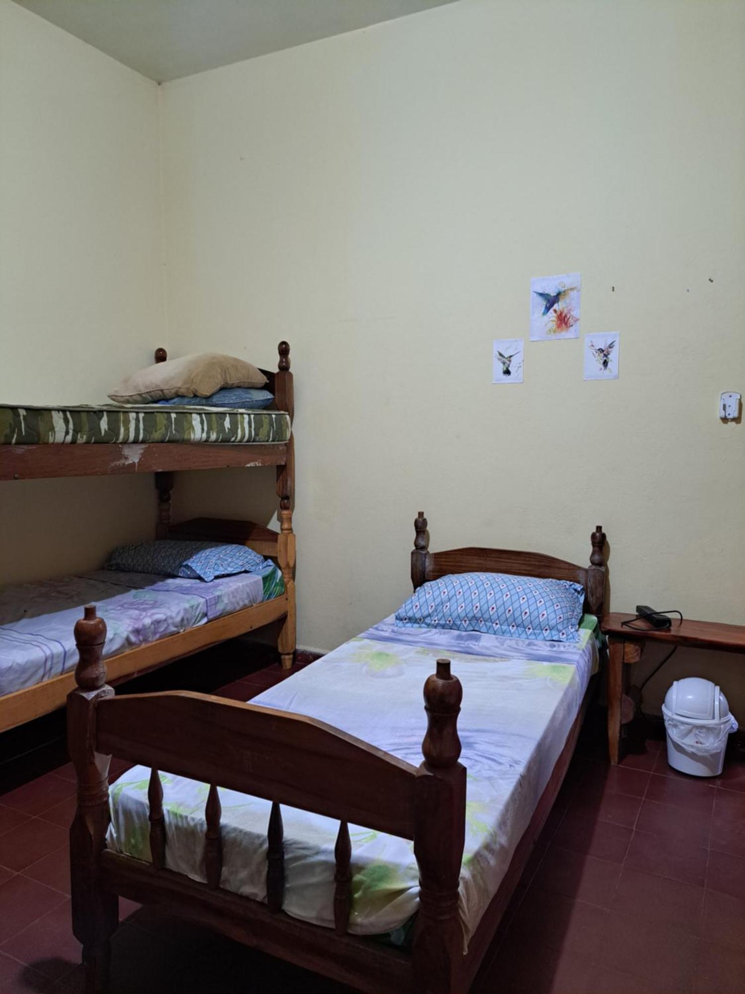 Hummingbird Hostel Σιουδάδ Ντελ Έστε Εξωτερικό φωτογραφία