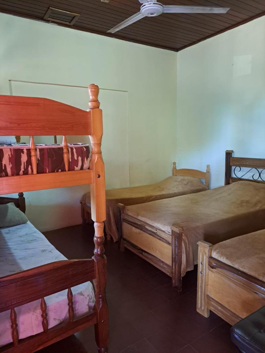 Hummingbird Hostel Σιουδάδ Ντελ Έστε Εξωτερικό φωτογραφία